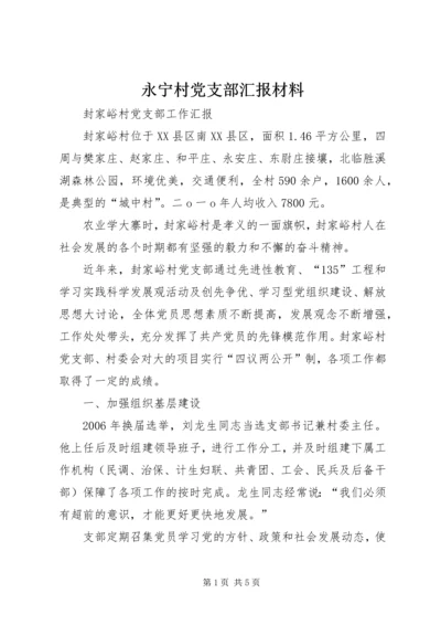 永宁村党支部汇报材料 (2).docx