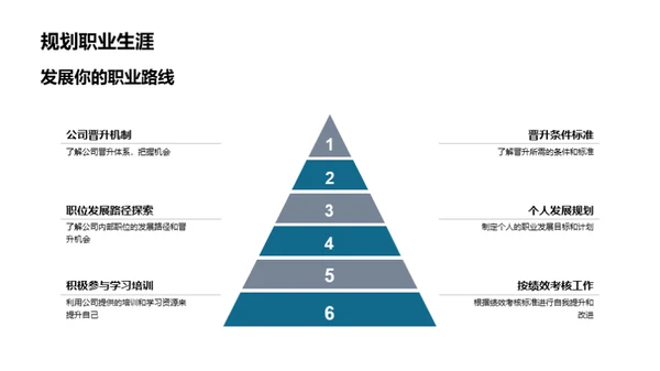 职业成长蓝图