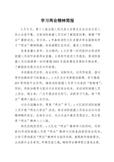 学习两会精神简报.docx
