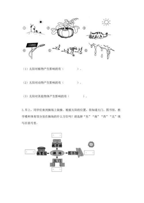 教科版二年级上册科学期末测试卷（精华版）.docx