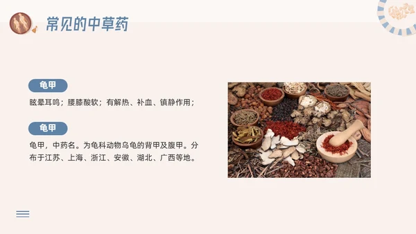 蓝色简约神奇中药草PPT模板宣传PPT动态PPT中医药