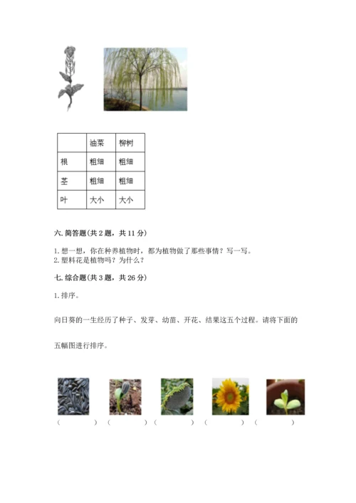 教科版科学一年级上册第一单元《植物》测试卷及完整答案（精选题）.docx