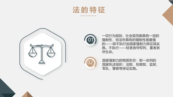 严谨大气法律法学律师工作汇报动态PPT模板