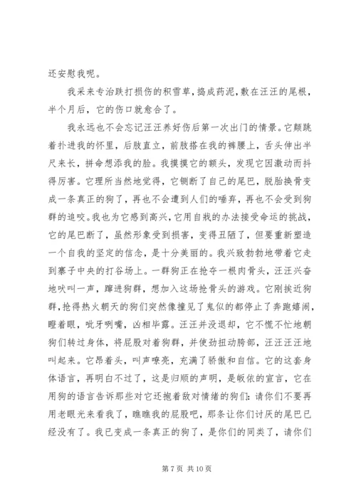 逼上梁山的豺读后感.docx