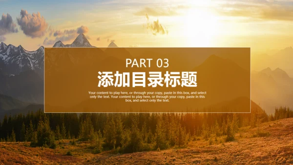 唯美商务工作总结计划通用PPT模板