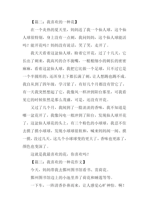 我喜欢的一种花作文400字-1.docx