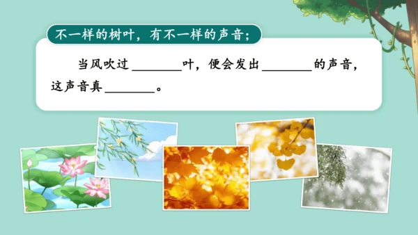 21.《大自然的声音》 课件（2课时）