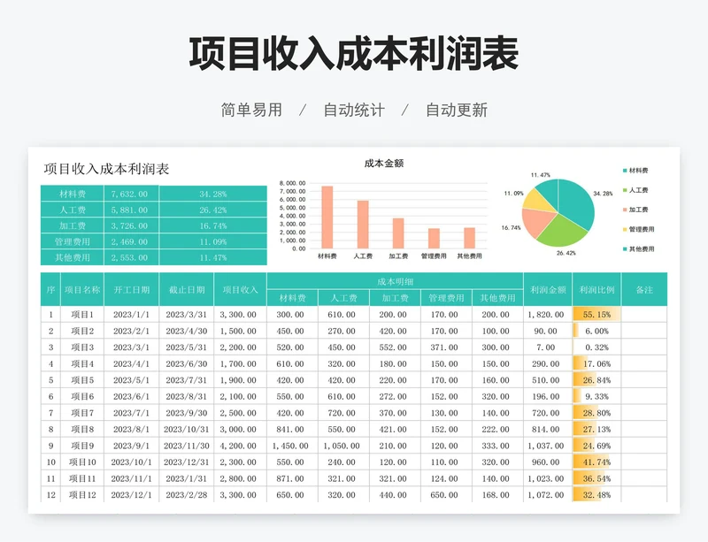 项目收入成本利润表