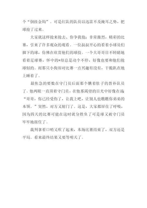 小小足球赛作文500字.docx