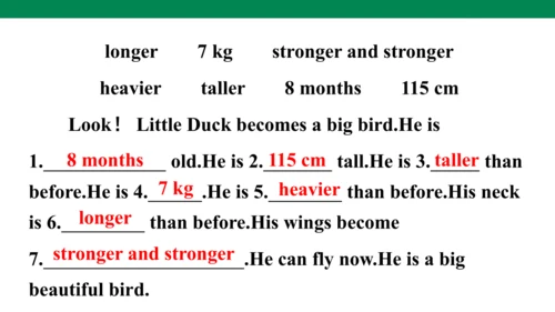 Unit 1　How tall are you？专项练习课件(共64张PPT)