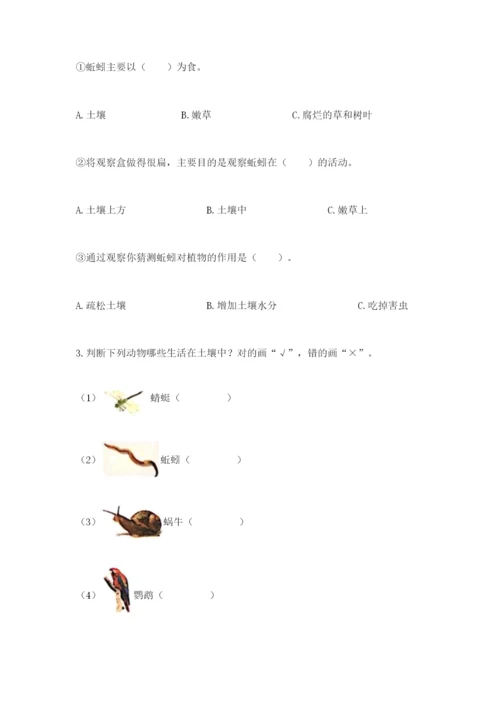 教科版小学二年级上册科学期末测试卷精品【巩固】.docx