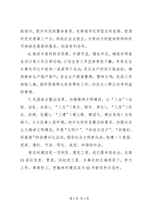 村党支部、村委会工作计划 (3).docx