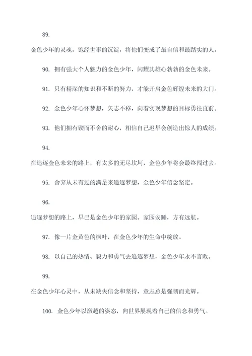 追逐金色的少年的好词好句