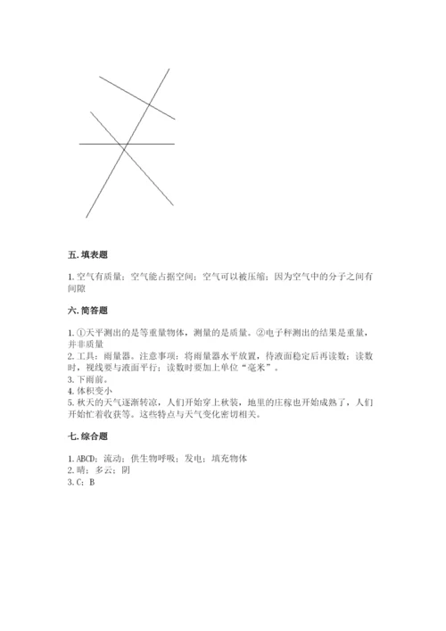 教科版三年级上册科学期末测试卷可打印.docx