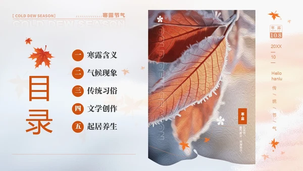 白色淡雅实拍风中国传统节气寒露节气介绍PPT