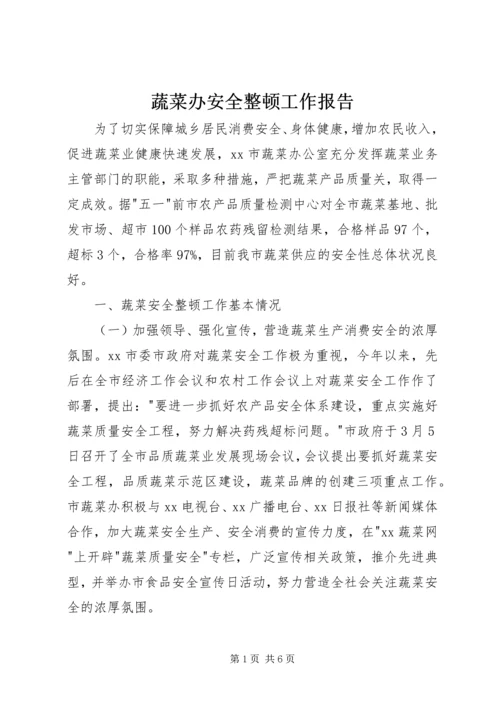 蔬菜办安全整顿工作报告.docx