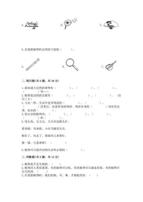 教科版科学一年级上册第一单元《植物》测试卷【实验班】.docx