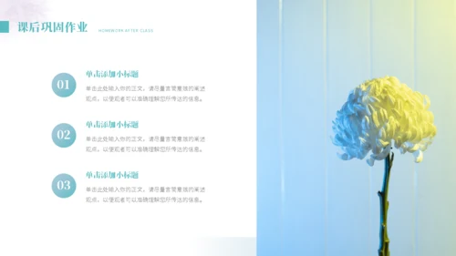 小清新花卉教学模板