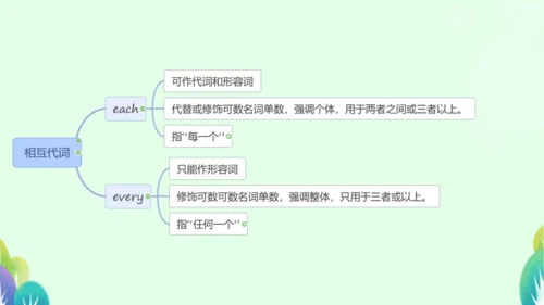 本册综合-代词