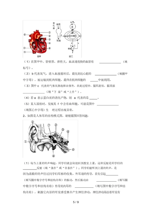 2021年苏教版九年级生物上册期末考试题【及答案】