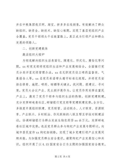 党建引领脱贫攻坚典型经验.docx