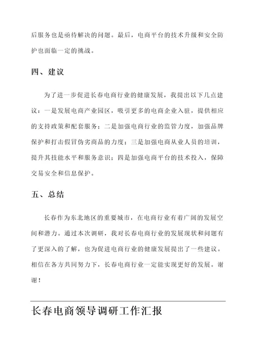 长春电商领导调研工作汇报