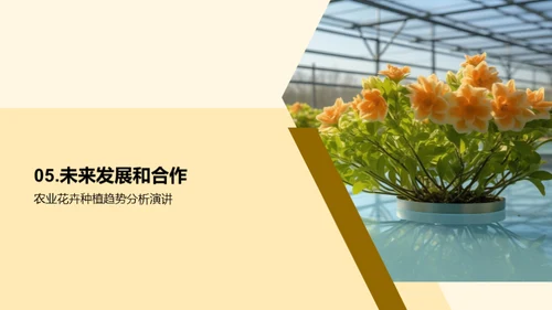 花卉产业：创新与策略