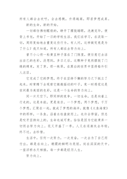 努力让我更出彩作文.docx