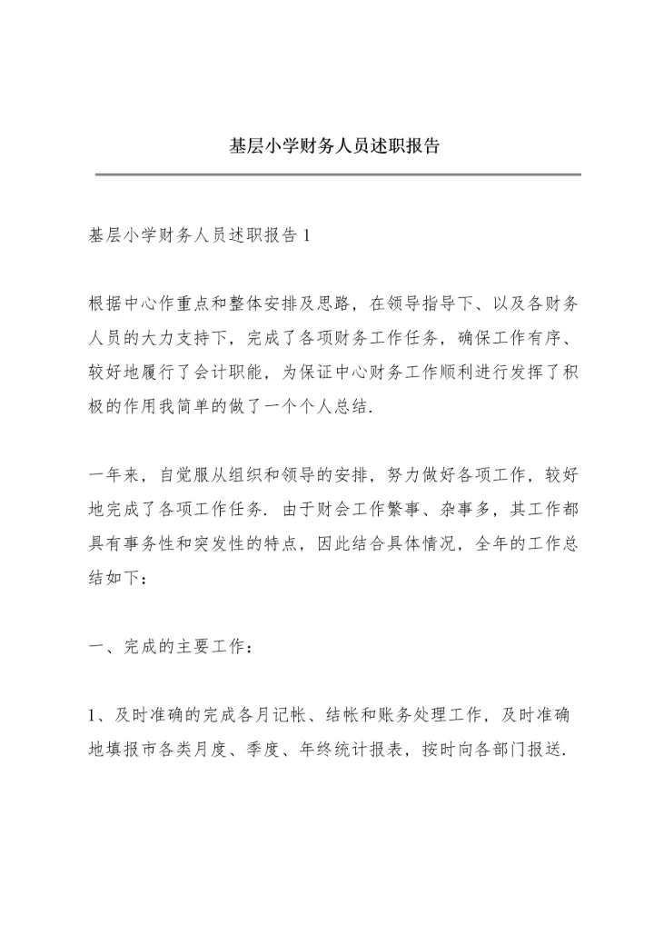 基层小学财务人员述职报告.docx