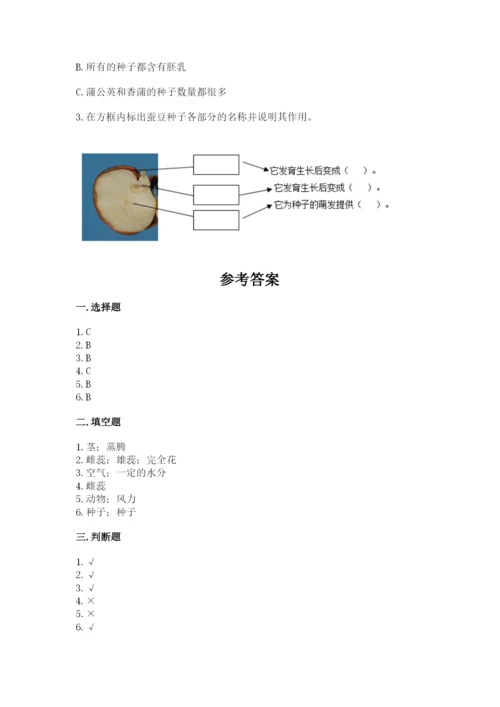 教科版四年级下册科学第一单元《植物的生长变化》测试卷精品【名师推荐】.docx