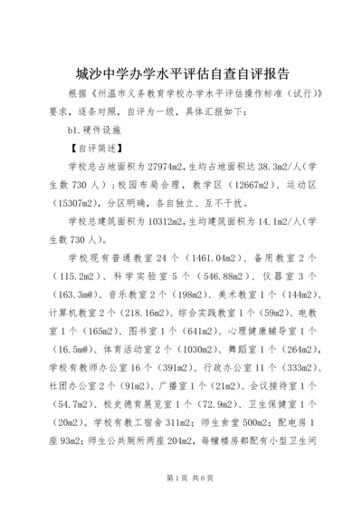 城沙中学办学水平评估自查自评报告 (2).docx