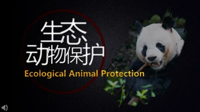 生态野生动物大熊猫保护宣传通用PPT模板