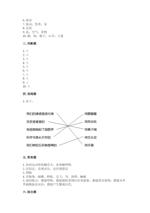 教科版一年级下册科学期末测试卷精品（名师系列）.docx