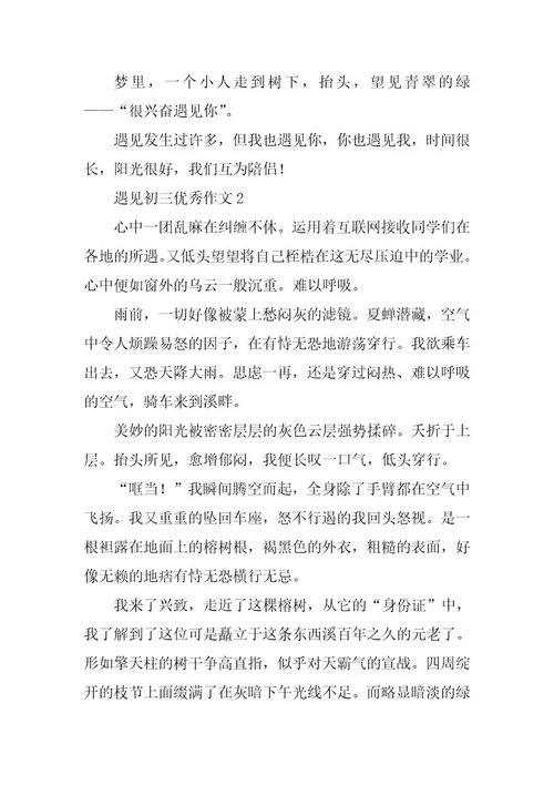 2024年遇见初三优秀作文