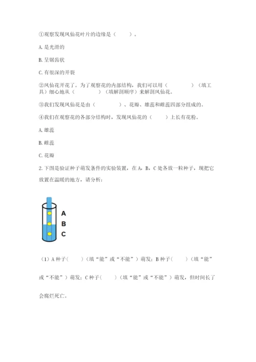 科学四年级下册第一单元《植物的生长变化》测试卷【精华版】.docx