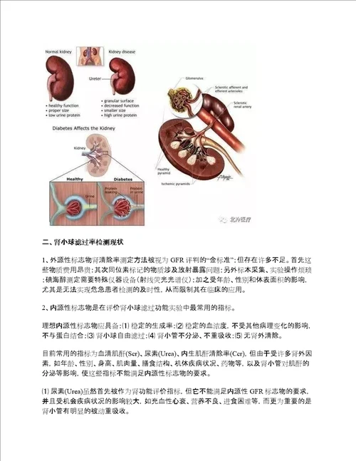 胱抑素C的临床意义