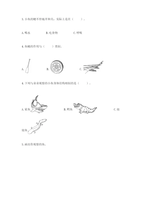 教科版一年级下册科学期末测试卷附参考答案ab卷.docx