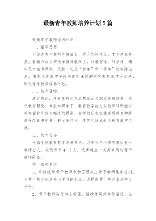 最新青年教师培养计划5篇.docx