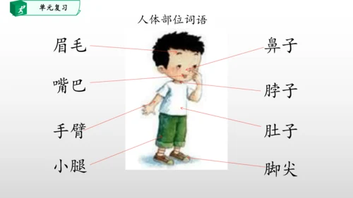 部编一年级语文下册第四单元知识清单