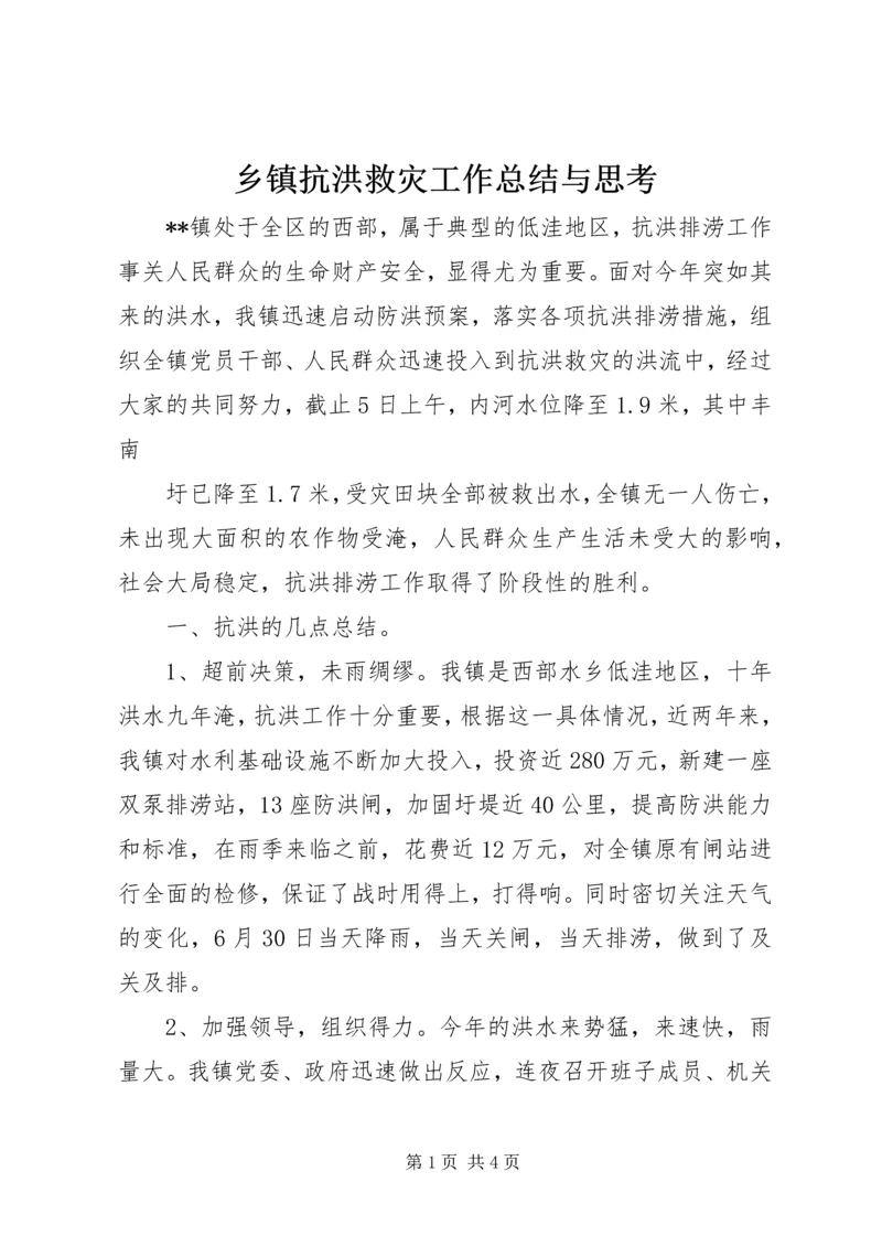 乡镇抗洪救灾工作总结与思考.docx