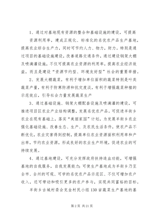 羊街乡蔬菜基地建设项目实施方案.docx