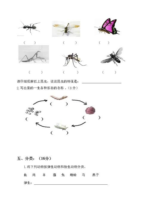 教科版小学科学三年级下册各单元练习题