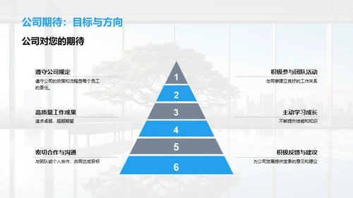 新岗位适应攻略