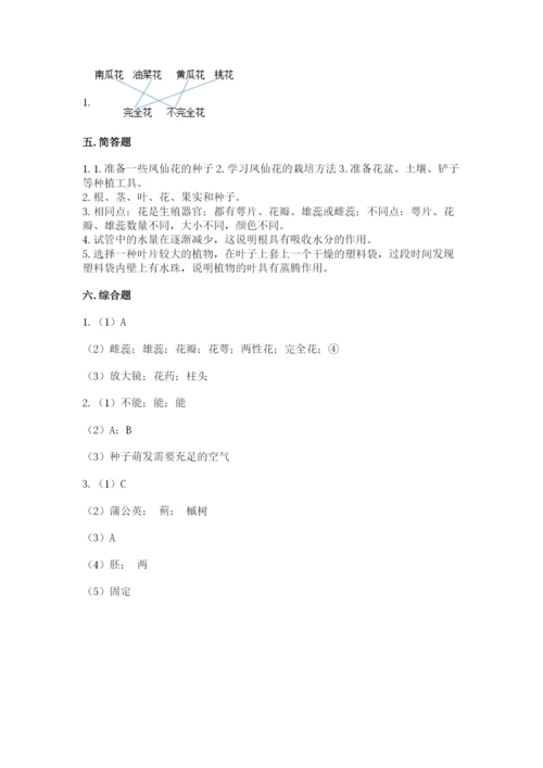 教科版科学四年级下册第一单元《植物的生长变化》测试卷精编.docx