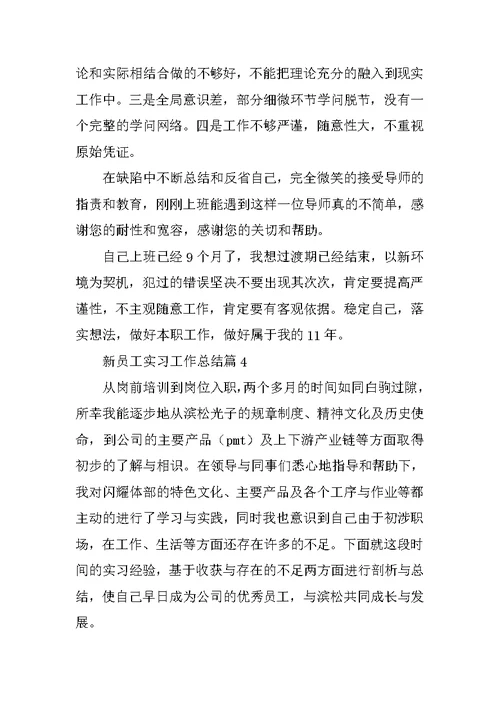 新员工实习工作总结