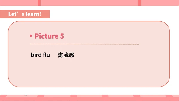 粉色插画风八年级英语健康生活课件PPT模板