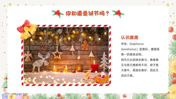 黄色卡通风幼儿园圣诞节PPT模板