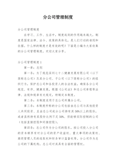 分公司管理制度_3.docx