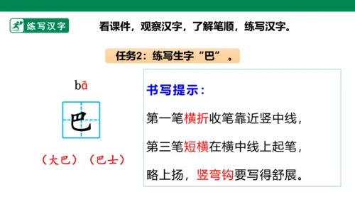 部编1A 第6单元 第6课 比尾巴（2）课件