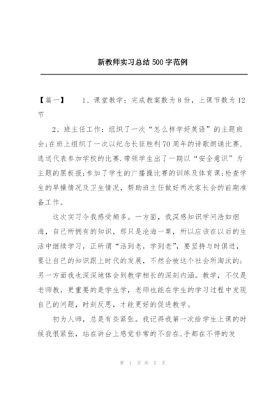 新教师实习总结500字范例.docx